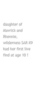 Usvi “AZAH” des Vieilles Montagnes, daughter of Mavrick and Rhennie, wilderness SAR K9 had her first live find at age 10 !
